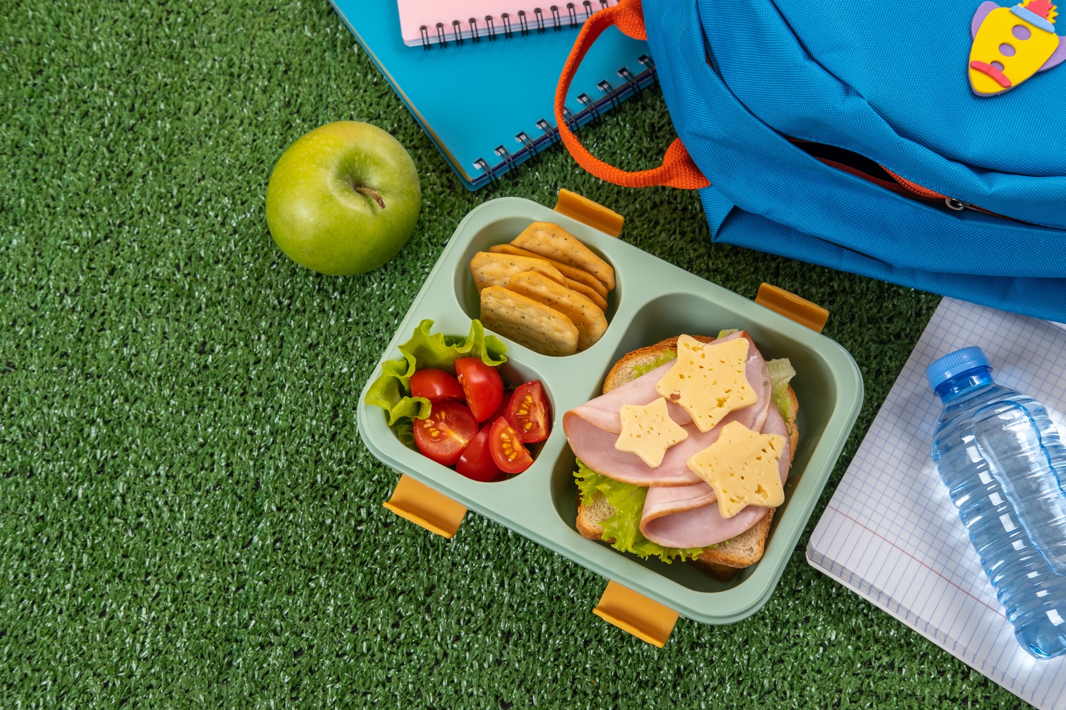 Healthy school lunch box with sandwich and salad at school yard.