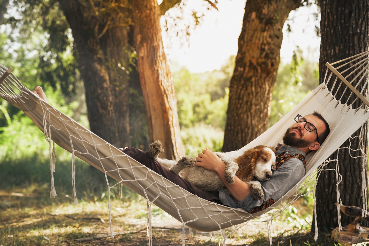 financial stress, reduced. Person sleeping with his dog in a hammock in beautiful summer scene